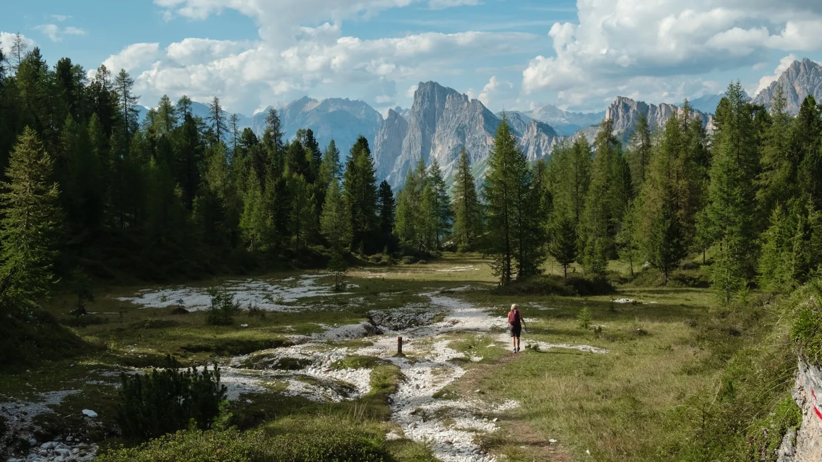 Sentier forestier dans une vallée des Dolomites en dessous de la limite des arbres