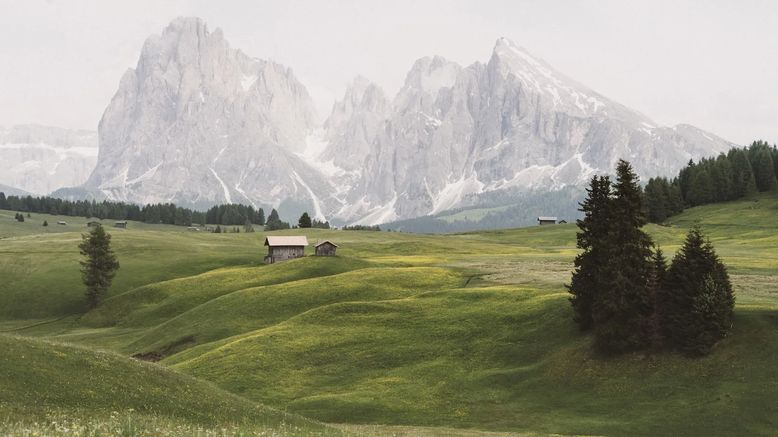 ️ L'Alpe di Siusi / Seiser Alm : le plus grand alpage d'Europe