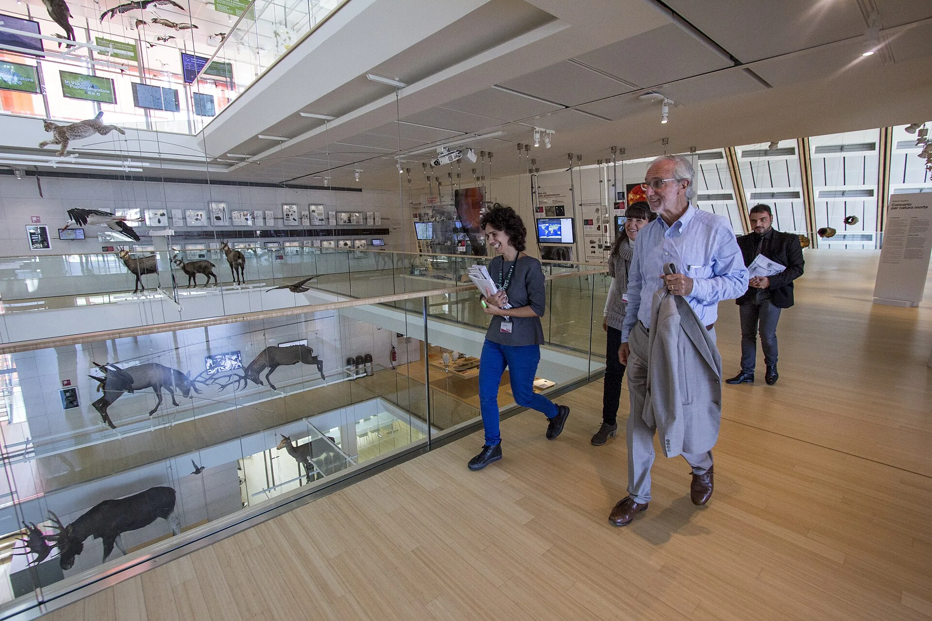 Le MUSE : un musée des sciences signé Renzo Piano